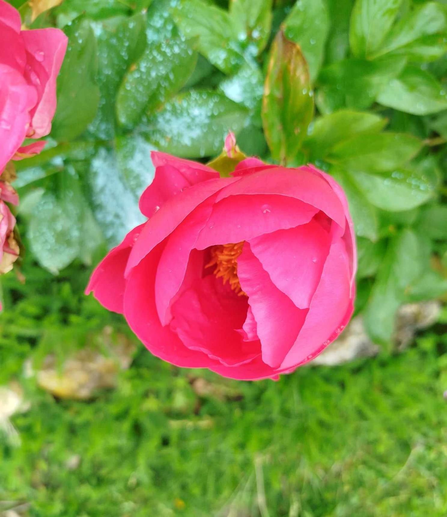 Gite Des Fours Agonges 외부 사진